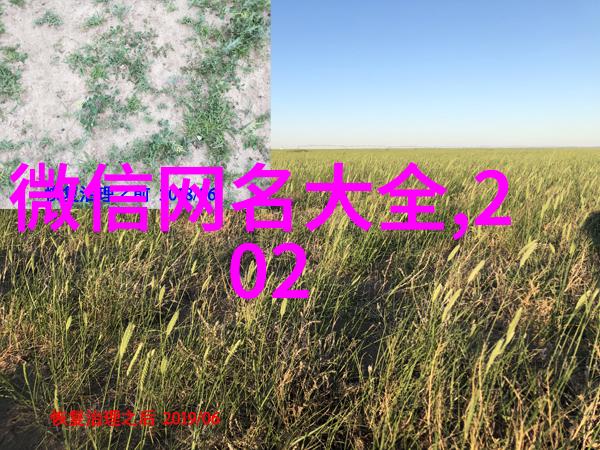 有青春的网名