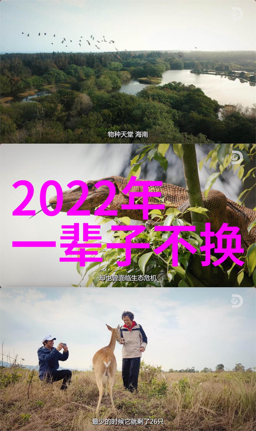 情商高的人说一段暖心的情话--般若